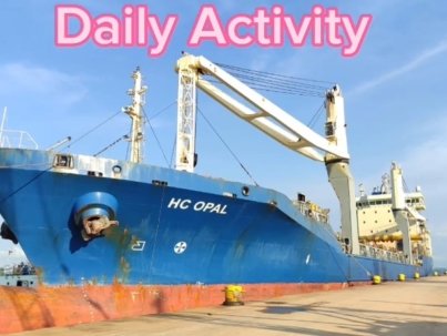daily activity